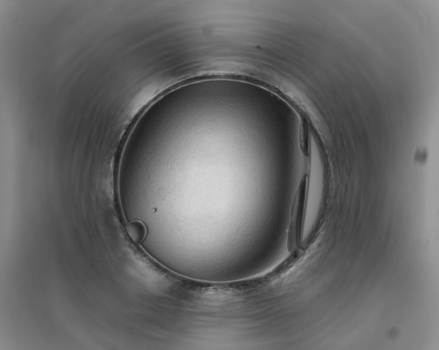 X0000094450842200711151425