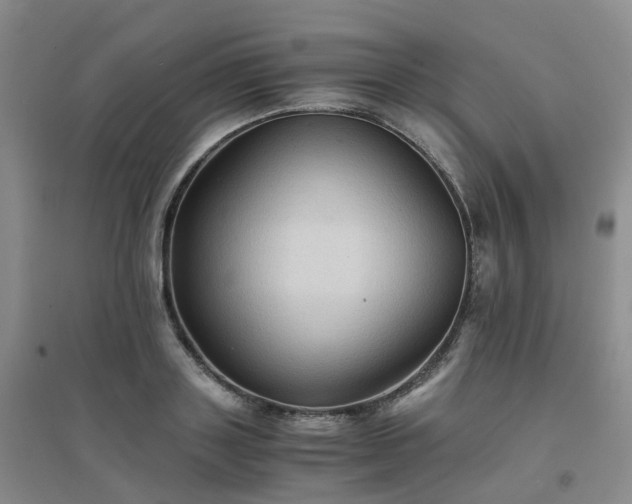 X0000094450843200711151425