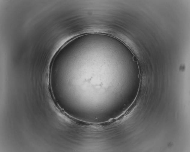 X0000094450844200711151425