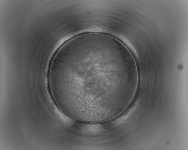 X0000094450845200711151425