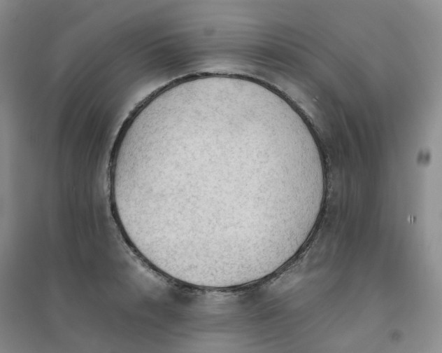 X0000094450848200711151425