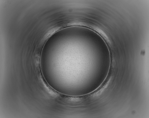 X0000094450849200711151425