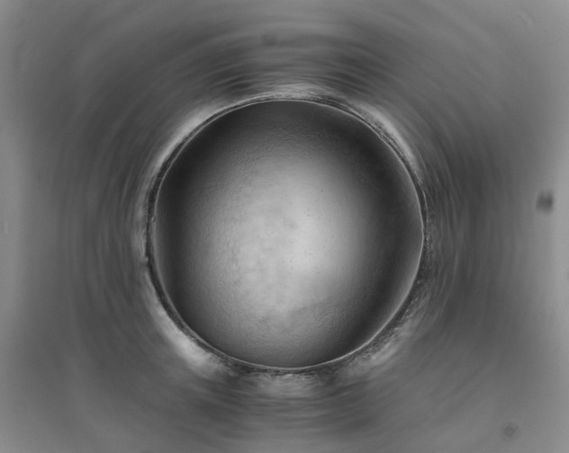 X0000094450851200711151425