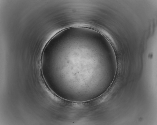 X0000094450852200711151425