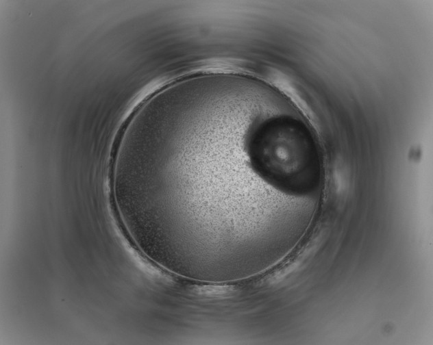 X0000094450853200711151425