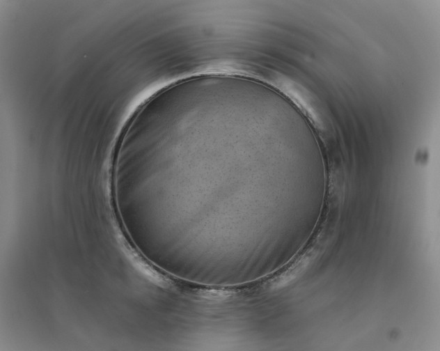 X0000094450854200711151425