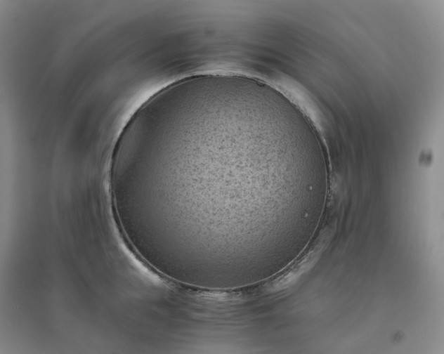 X0000094450855200711151426