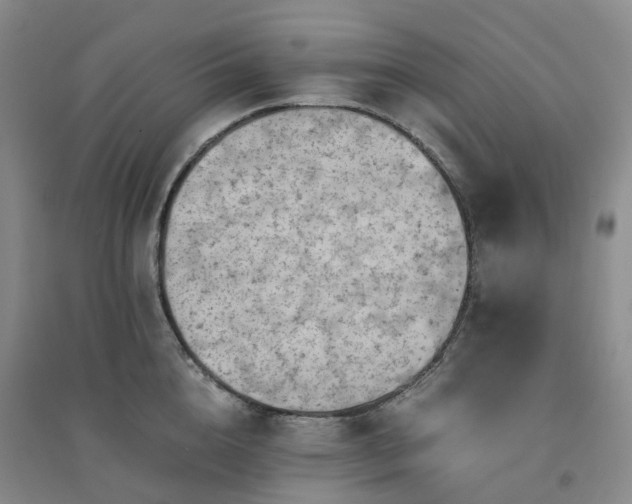 X0000094450856200711151426