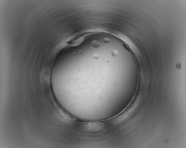 X0000094450857200711151426
