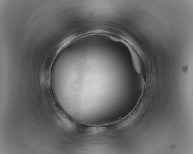 X0000094450858200711151426