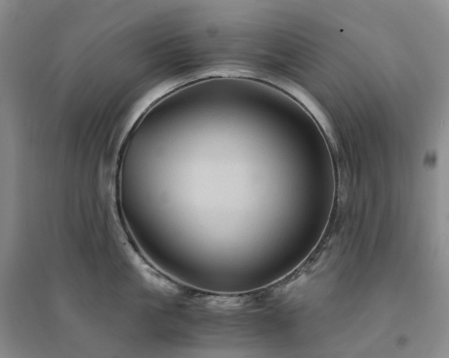 X0000094450861200711151426