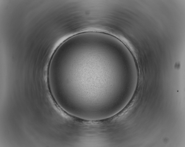 X0000094450862200711151426