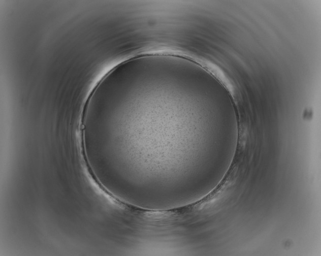 X0000094450863200711151426