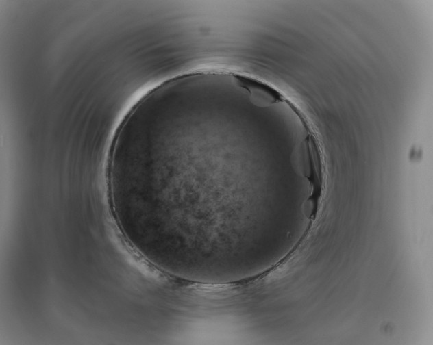 X0000094450864200711151426