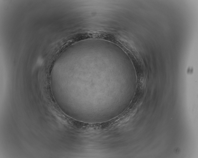 X0000094450865200711151425