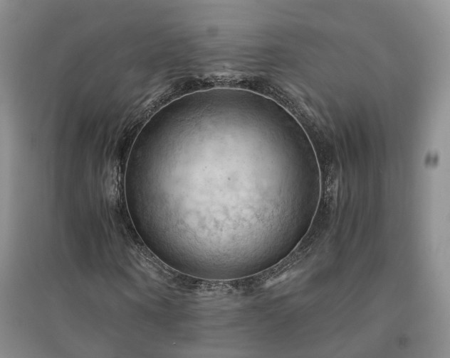X0000094450866200711151425