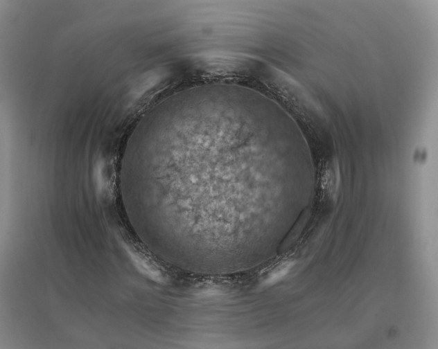 X0000094450868200711151425