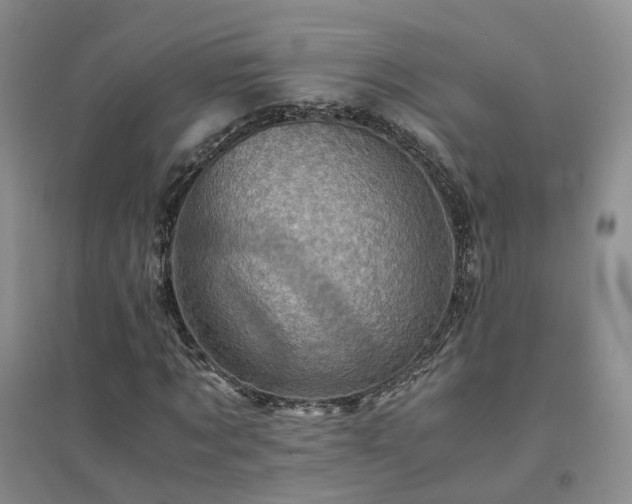 X0000094450869200711151425