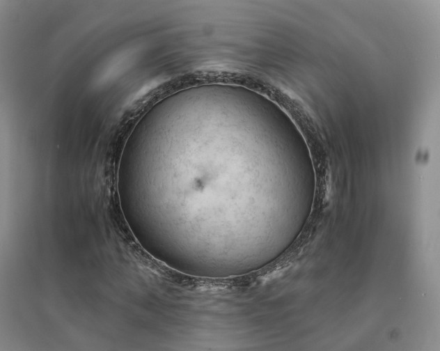 X0000094450870200711151425