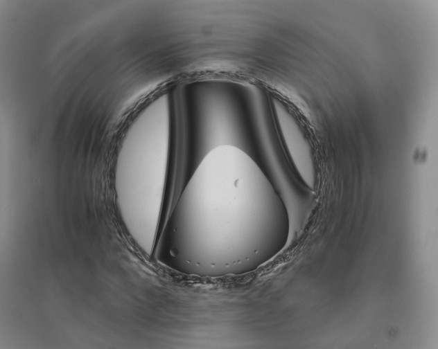 X0000094450872200711151425