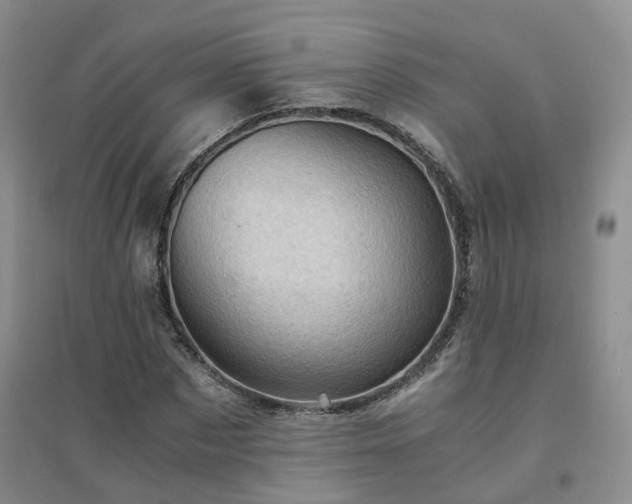 X0000094450873200711151425