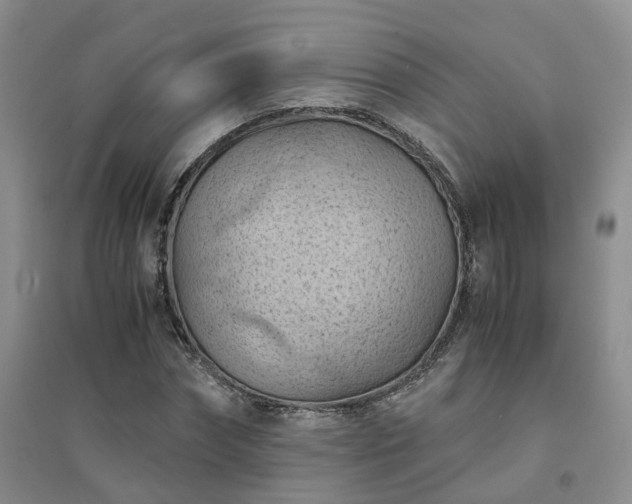 X0000094450874200711151425