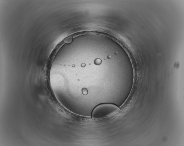 X0000094450875200711151425