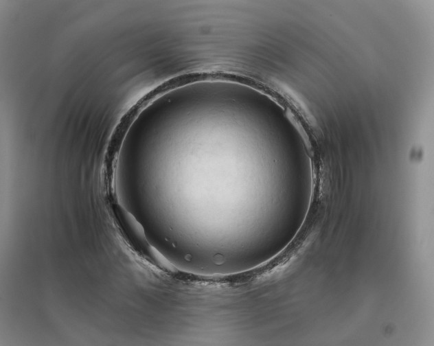 X0000094450876200711151425