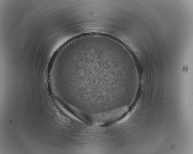 X0000094450877200711151425