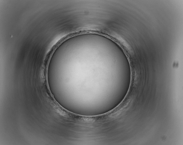 X0000094450878200711151425
