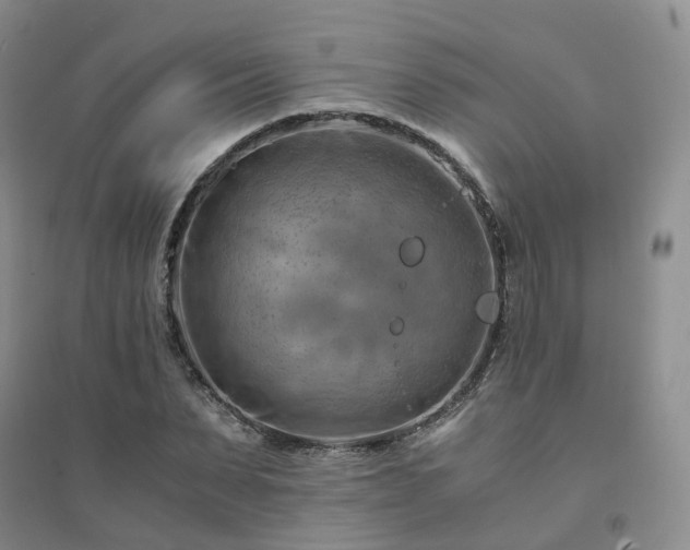 X0000094450879200711151425