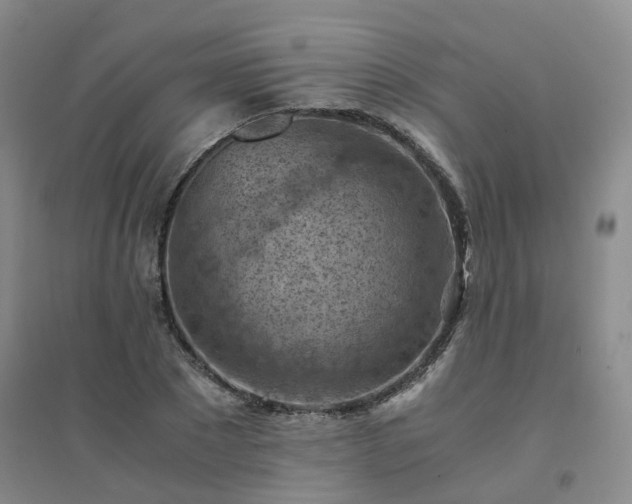 X0000094450881200711151425