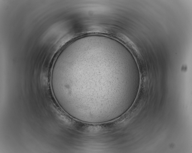 X0000094450882200711151425