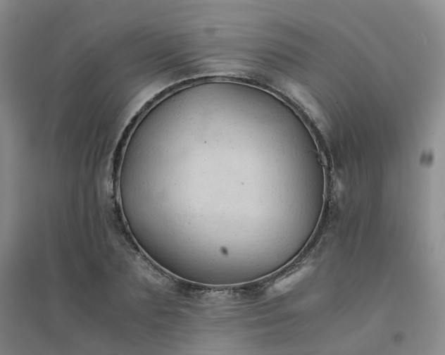 X0000094450883200711151425