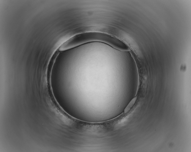 X0000094450884200711151425
