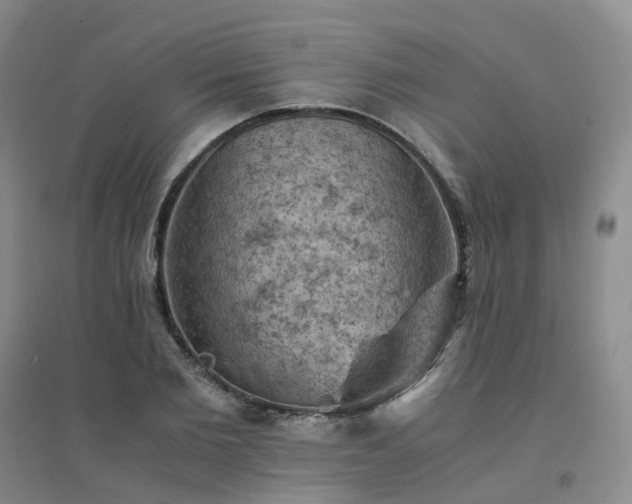 X0000094450885200711151425