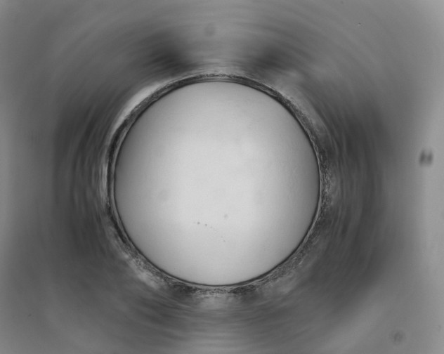 X0000094450886200711151425