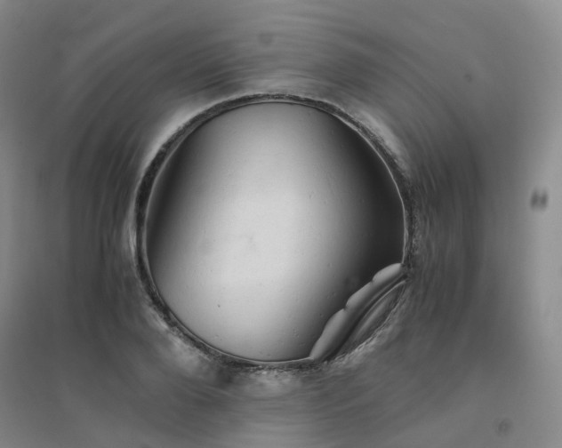 X0000094450888200711151425