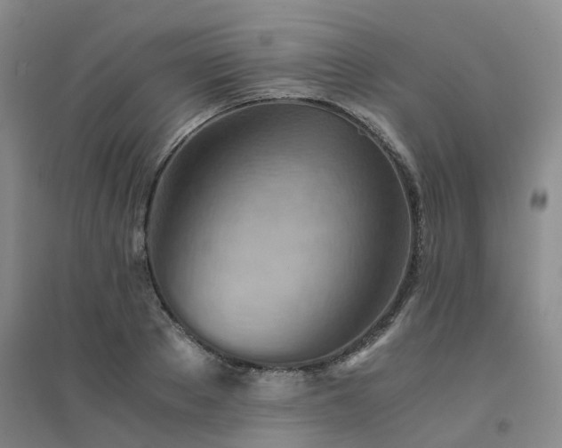 X0000094450889200711151425