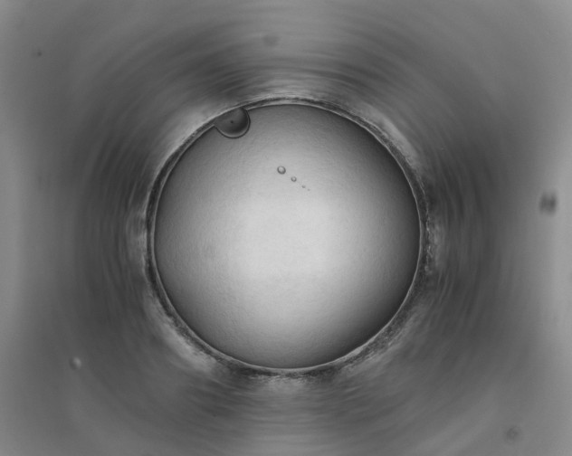 X0000094450890200711151425