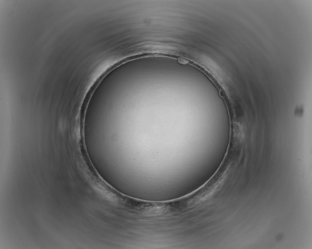 X0000094450891200711151425