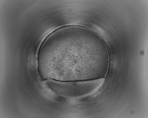 X0000094450892200711151425