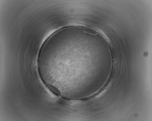 X0000094450893200711151425