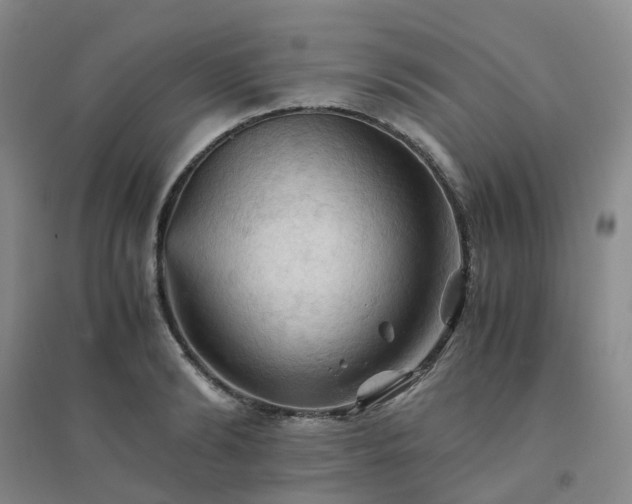 X0000094450894200711151425