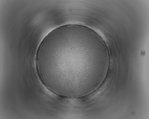 X0000094450895200711151425