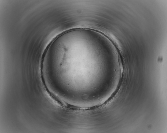 X0000094450896200711151425