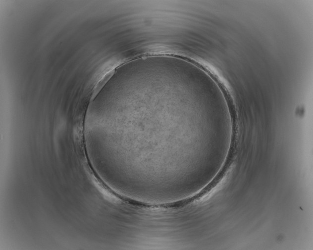 X0000094450897200711151425