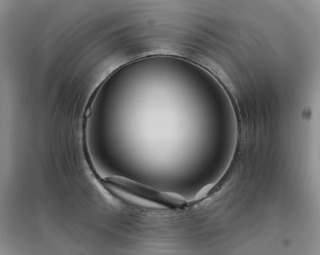 X0000094450898200711151425