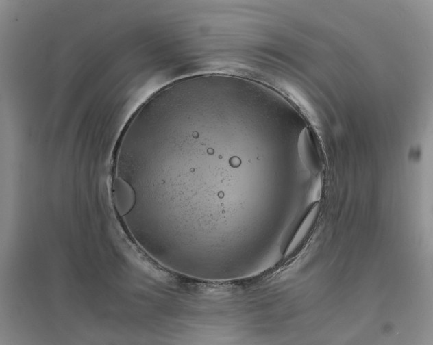 X0000094450899200711151424