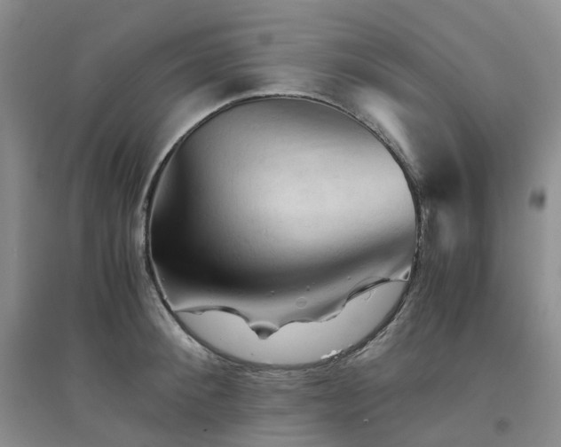 X0000094450900200711151424